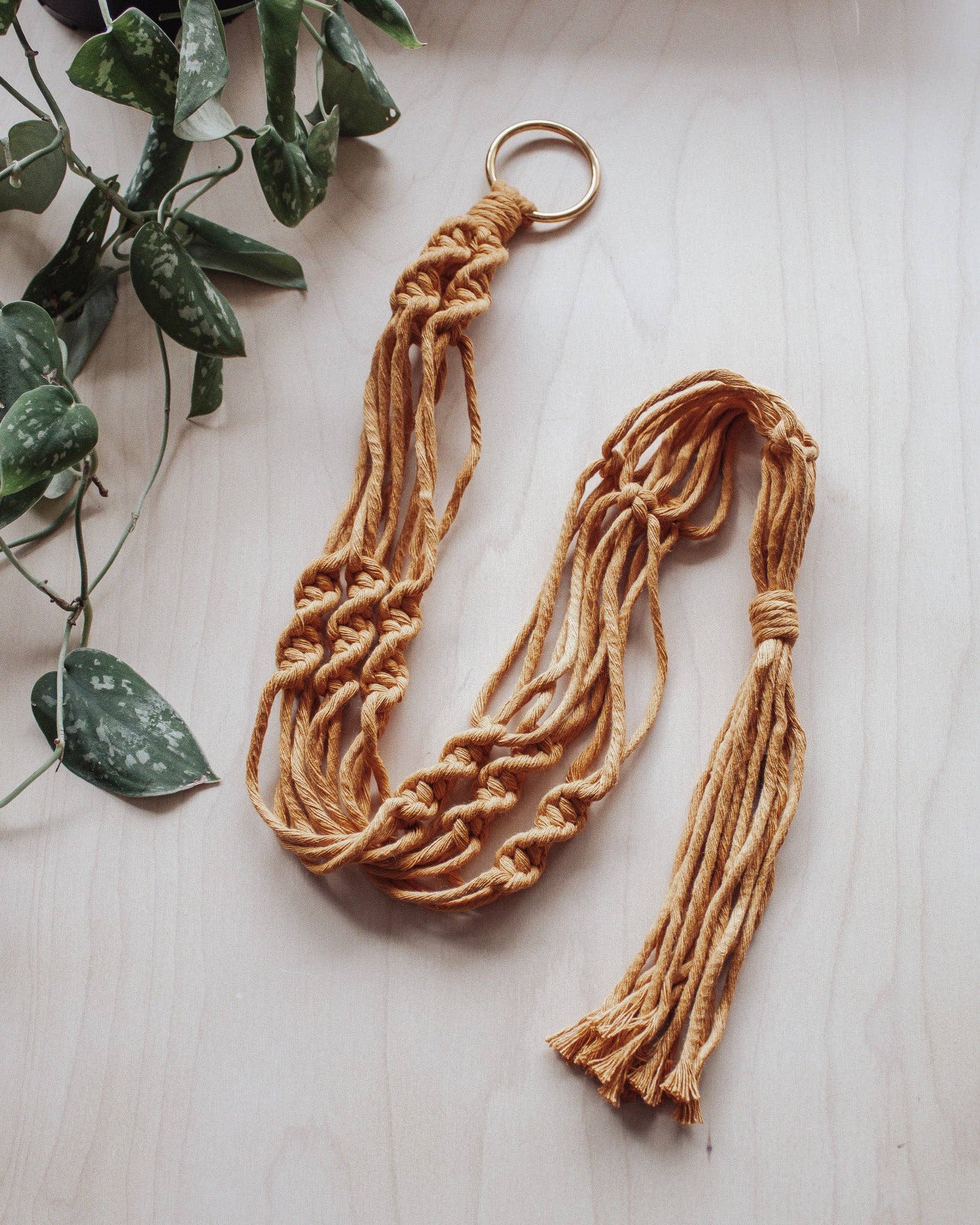 Modern Bo Studio – Vasos suspensos por atacado – Suporte para Planta em Macramê Simples com Torção7