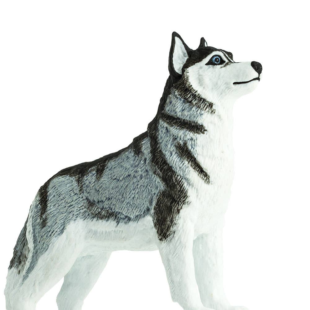 Safari Ltd. - Wholesale Decorative Figurine - Siberian Husky - 2552292