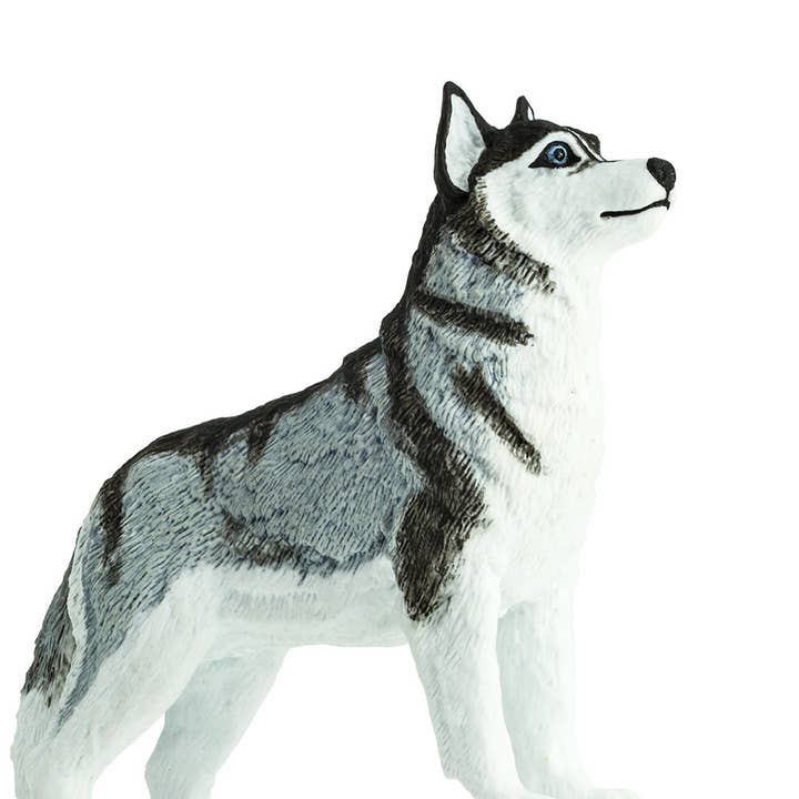 Safari Ltd. - Wholesale Decorative Figurine - Siberian Husky - 2552292