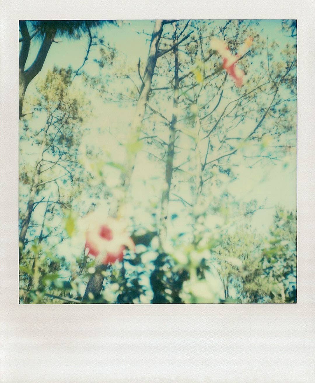 Chronicle Books - Wholesale Stationery/Notecard Set - Polaroid Notes4