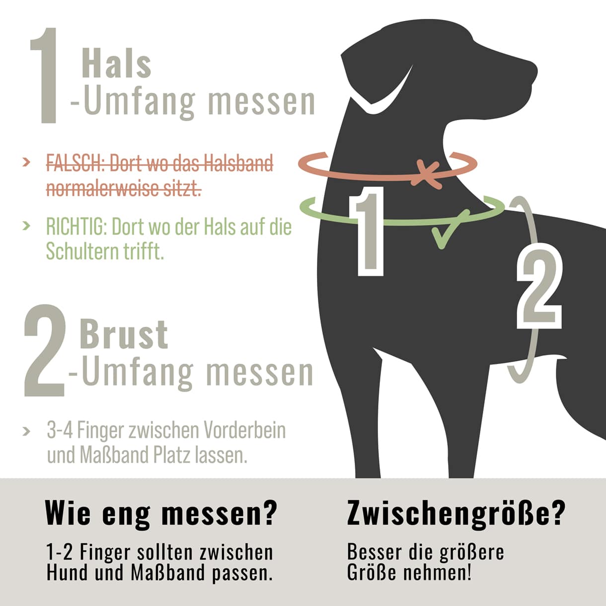 ne&no - Wholesale Pet Harness - Dog - ne&no® Outdoor Dog Harness + with Shock Absorber8