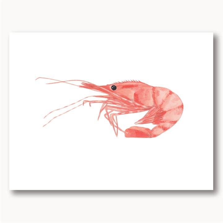 Sophie Tivona Paper - Wholesale Everyday Greeting Card - Spot Prawn Greeting Card
