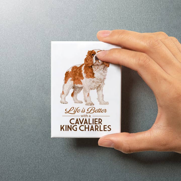 Lantern Press - Wholesale Magnet - MAGNET Cavalier King Charles, Life is Better5