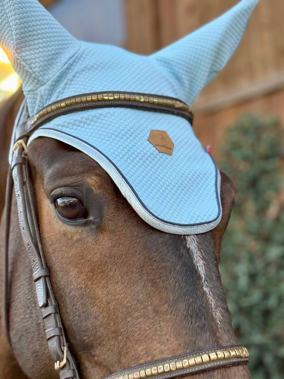 Athippique - Wholesale Horseback Riding Gear - Sky blue horse hat2