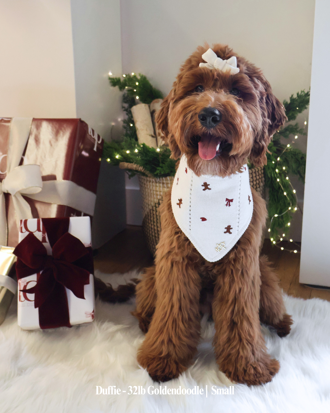 The Deluxe Pup - Vente Bandana – chien - BANDANA | SUCRE ET ÉPICES1