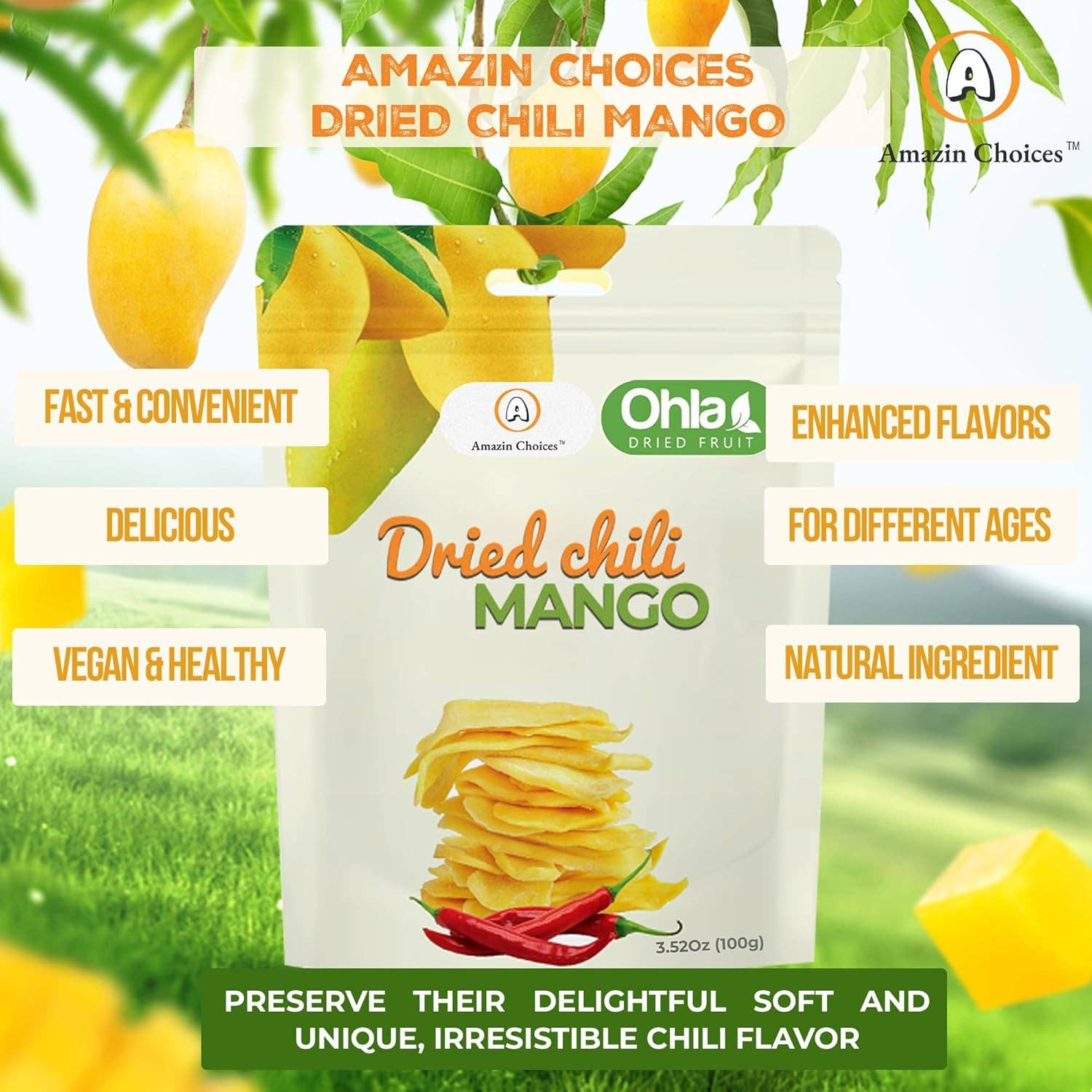 Amazin Choices - Wholesale Dried/Dehydrated Fruit - Dried chili mango 100g5