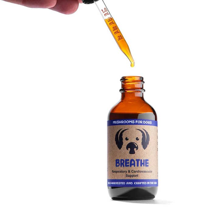 MycoDog - Wholesale Pet Supplement - Dog - Breathe – Mushroom Tincture for Dogs | Respiratory Support4