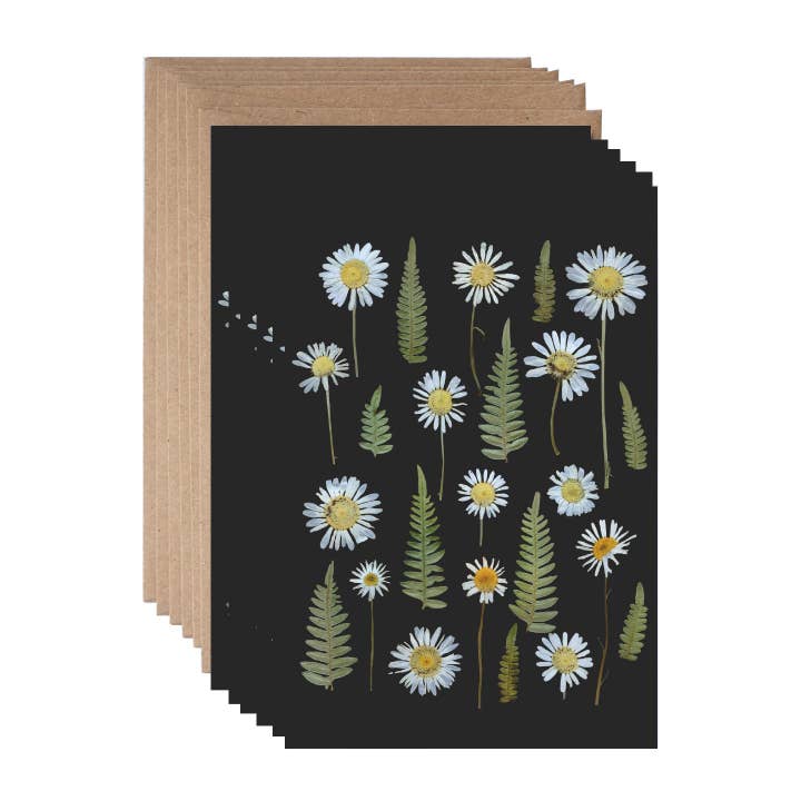 Wild Daisies on Black, Note Card Set for wholesale by Seek & Bloom Creative Co.