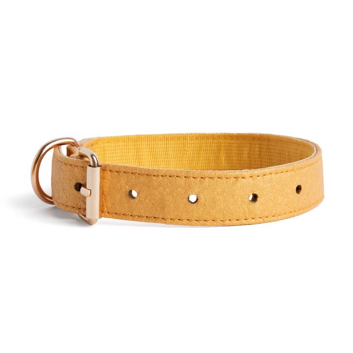 THE PINYA COLLECTION - DOG COLLAR for wholesale by The Crazy Puppy Company