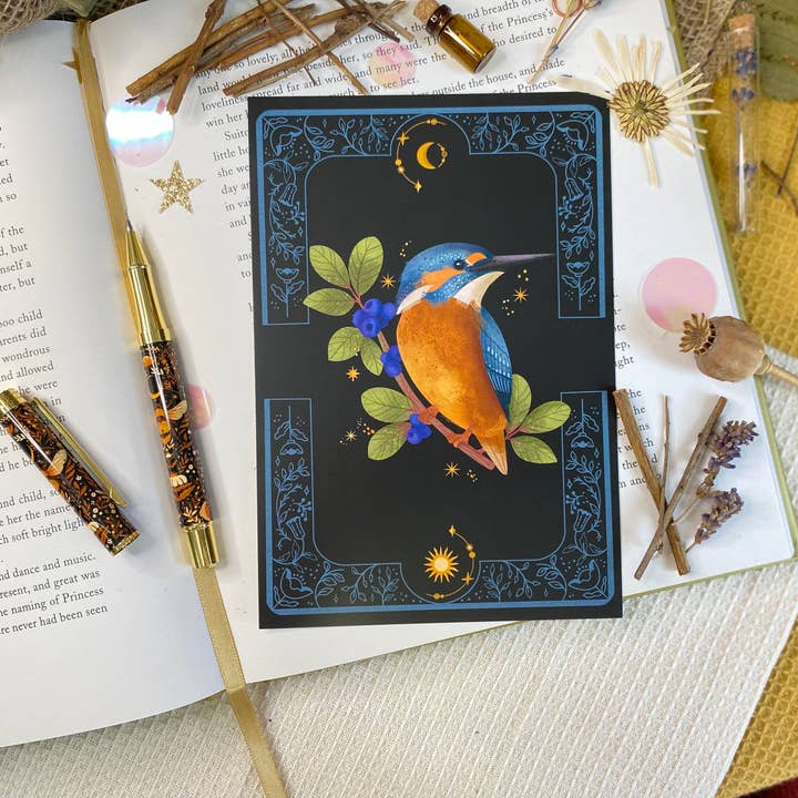 Split Moon Studios - Wholesale Postcard Set - A Set of Bird Post Cards - Post Card - Art Print8