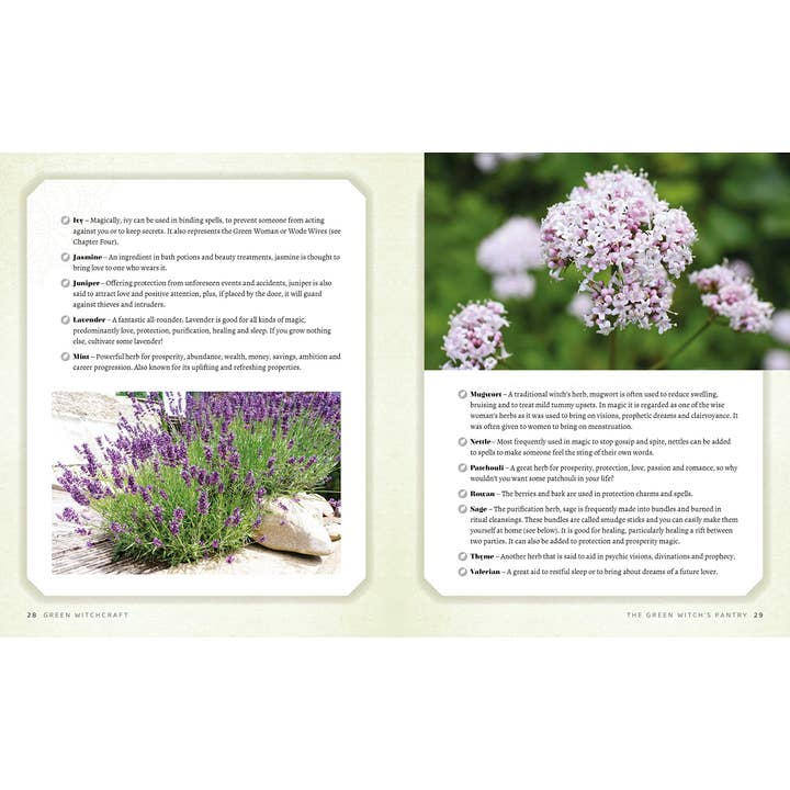 Texas Bookman - Wholesale Book - Adult - Green Witchcraft: Magical Ways to Walk Softly on the Earth