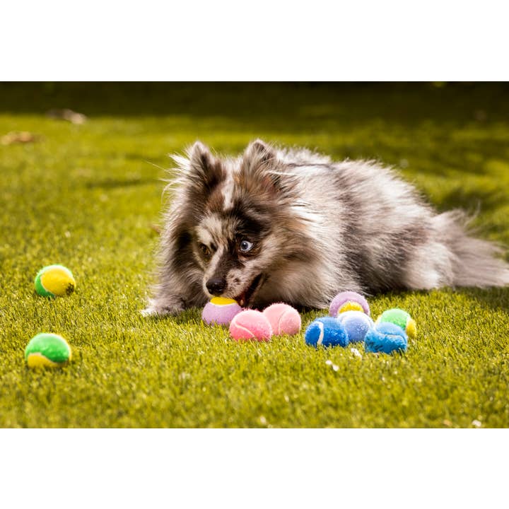 Midlee Designs – wholesale Pet fetch ball – Dog – Midlee Yellow/Green Mini Tennis Balls Set of 125