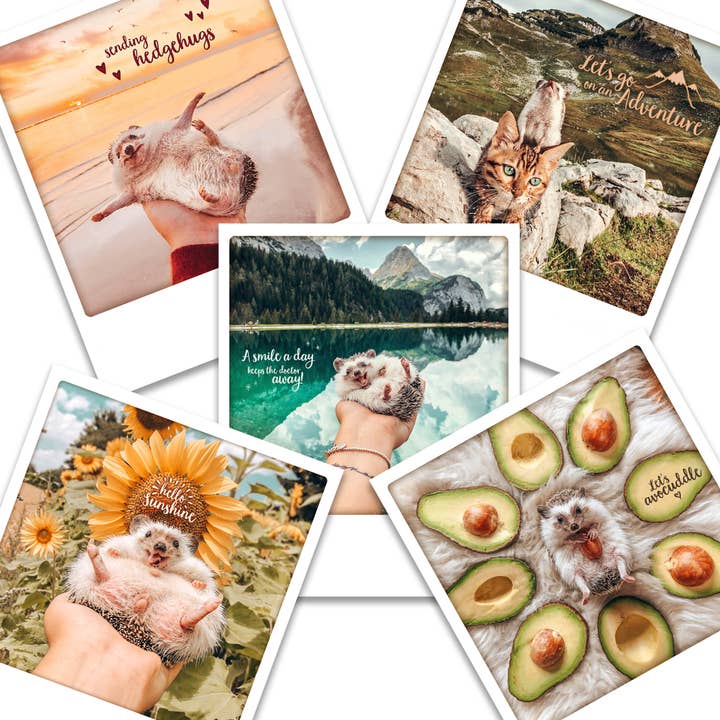 Cartes postales Happy (lot de 5) pour la vente par Mr.Pokee