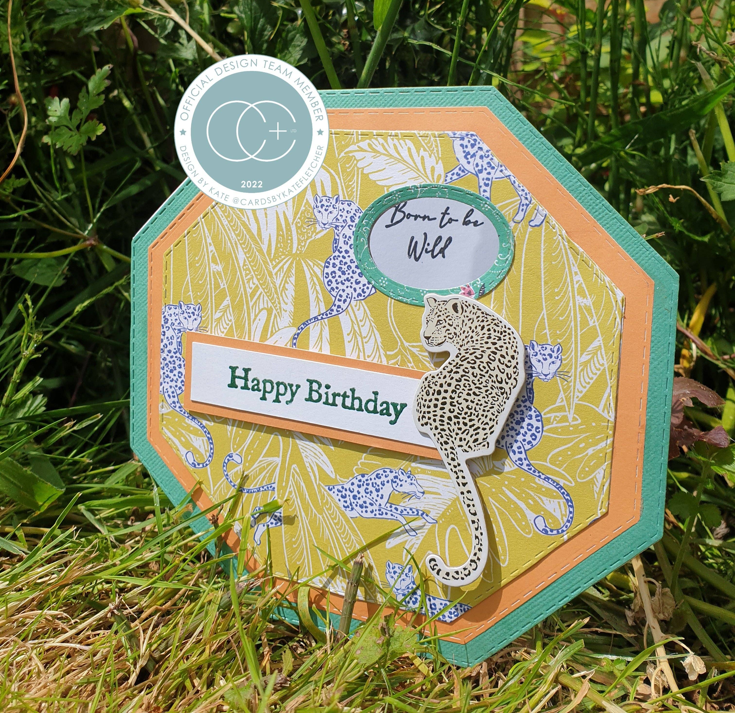 Ecstasy Crafts Distributing – Großhandel Bastelzubehör – Craft Consortium Enchanted Jungle Papierblock, 12 x 1220