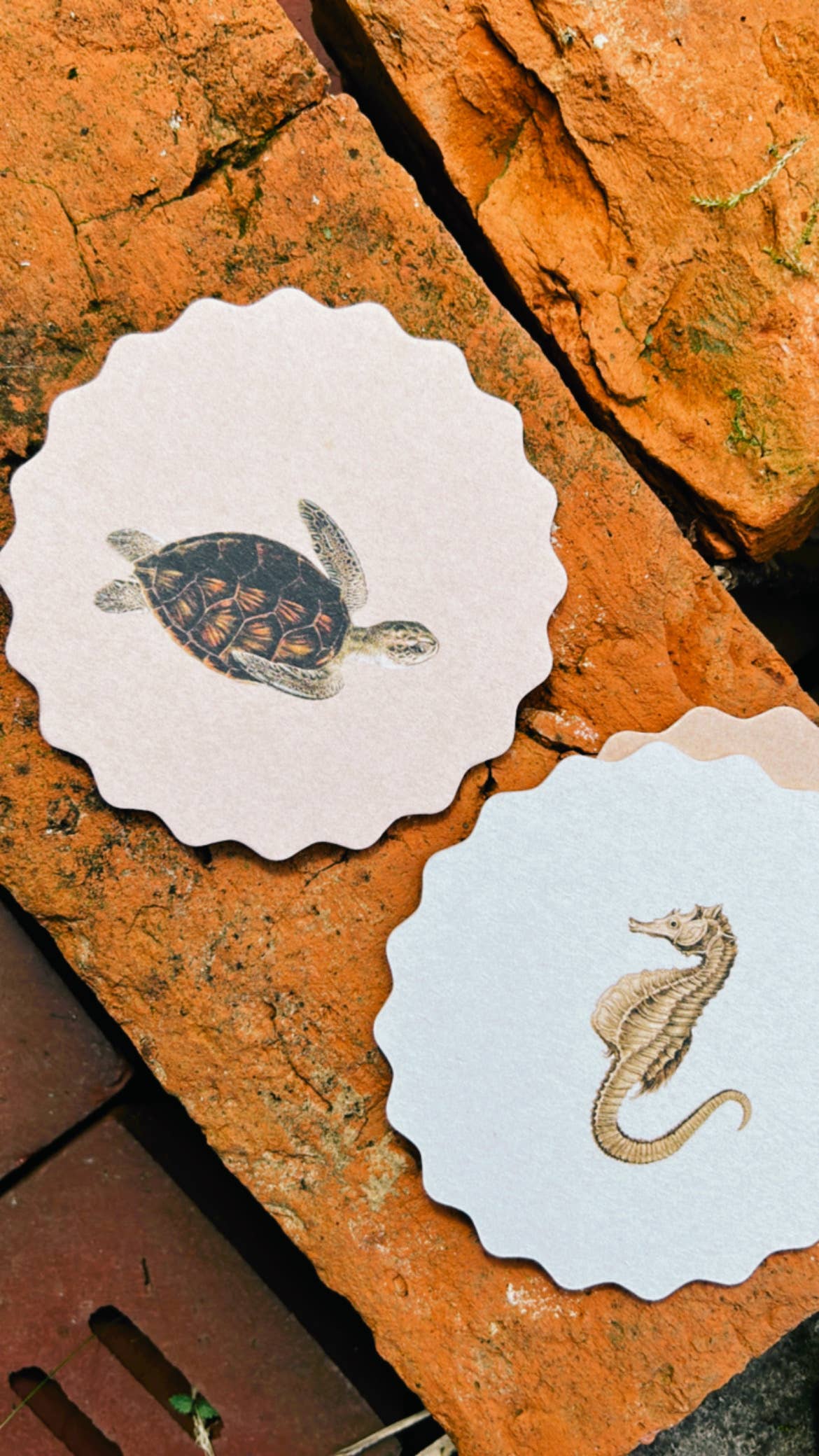 30x40 - Wholesale Coasters - Coaster Set Good Vibes 🍀🐓🐢 UPDATE - New Designs13