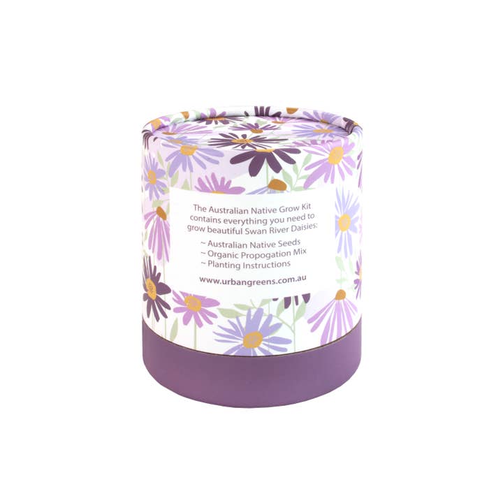 Urban Greens - Wholesale Plant seeds - Urban Greens Australian Native Swan Daisies Grow Kit2