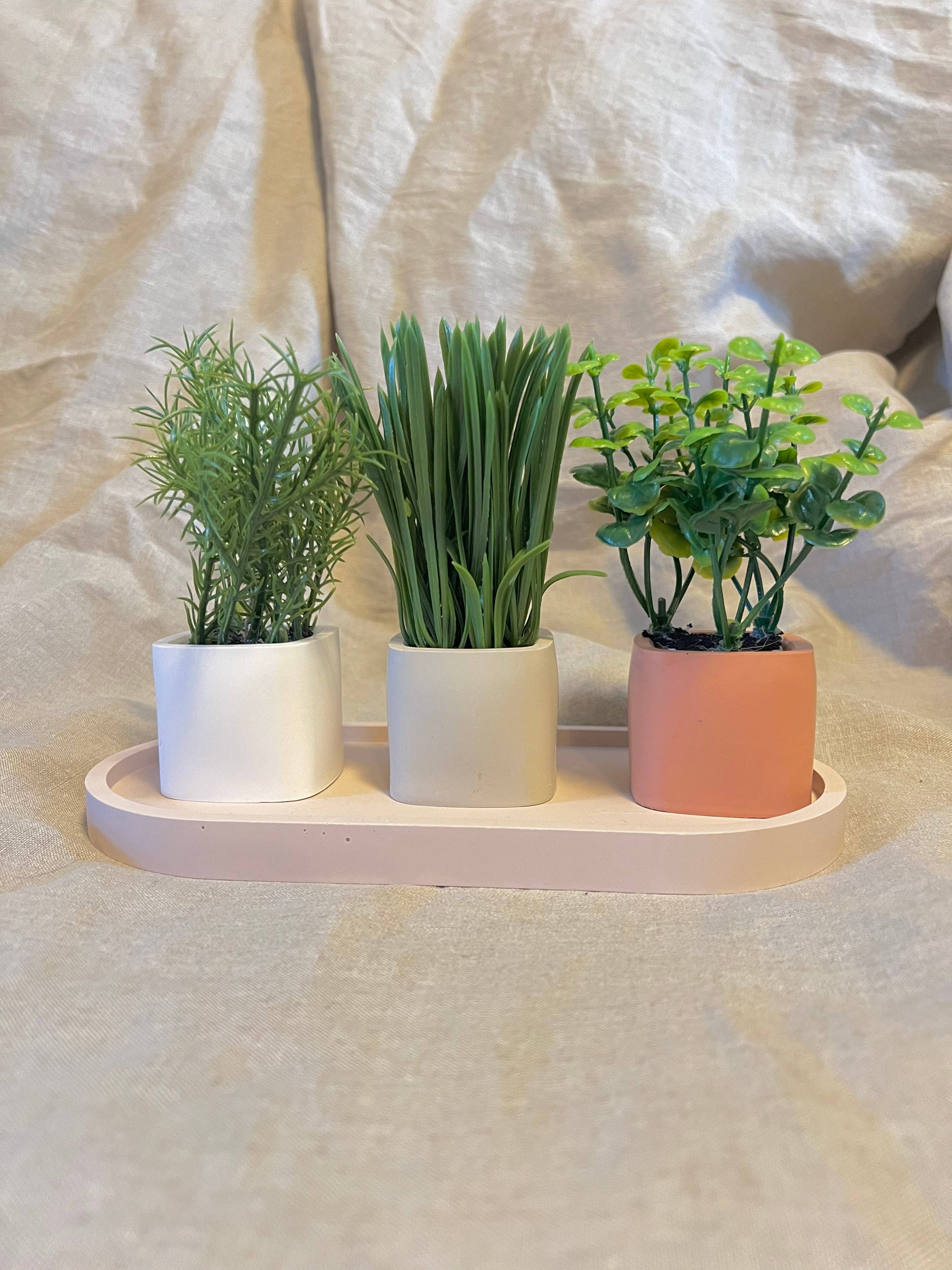 EMB Pretty – wholesale Plant pot – Neutral Mini Succulent/Cactus Pot/Planter7