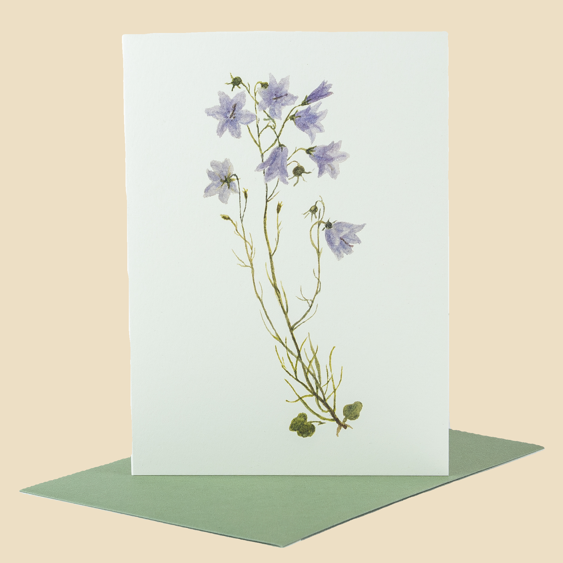 Sophia Davenport - Wholesale Everyday Greeting Card - Wildflower Greeting Cards and Notelets20