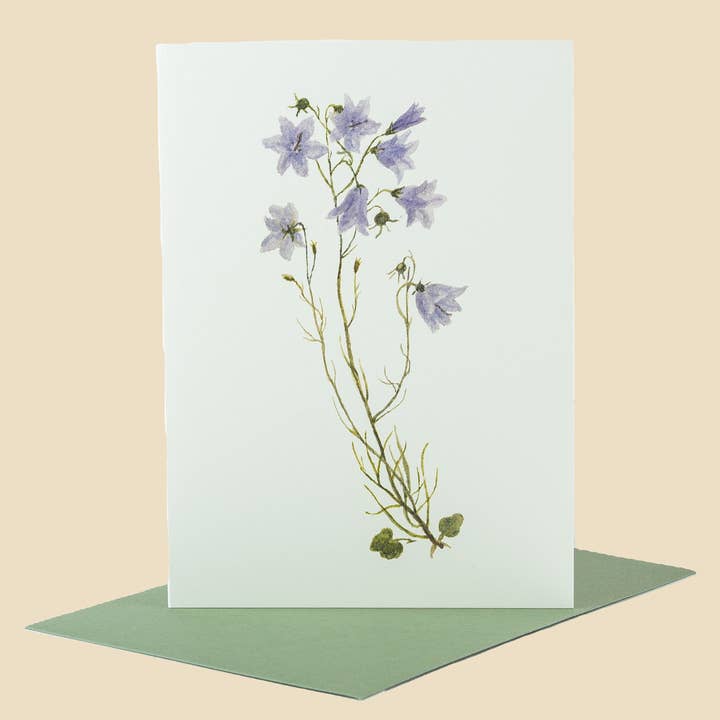 Sophia Davenport - Wholesale Everyday Greeting Card - Wildflower Greeting Cards and Notelets20