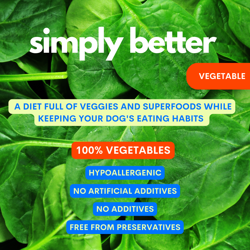 JAMPY – wholesale Pet supplement – Cat/dog – Superfood Green Mix - 100% Natural Vitamin Powder for Dogs5