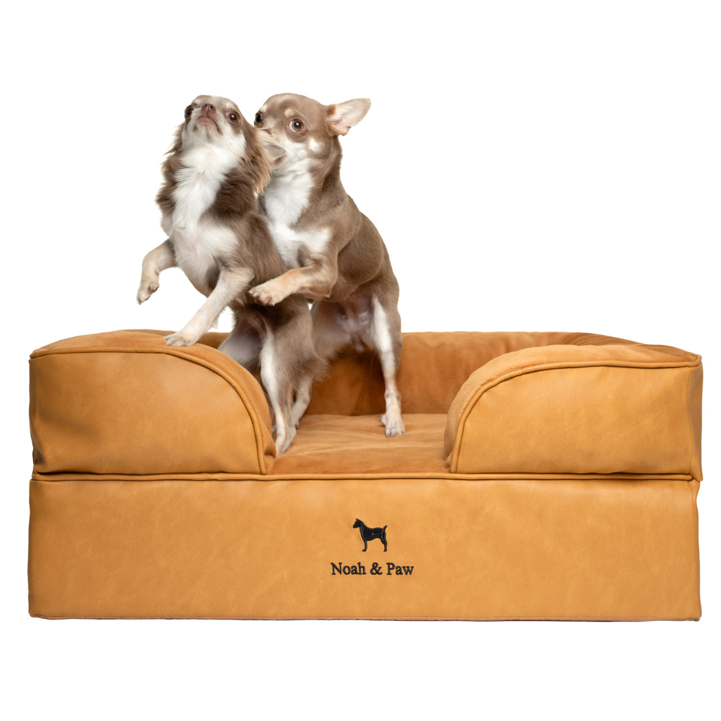 NOAH AND PAW LLC – Großhandel Haustierbett – Katze/Hund – Orthopädisches Hundebett im Sofastil aus Kunstleder mit Memory-Schaum und kühlendem Gel6