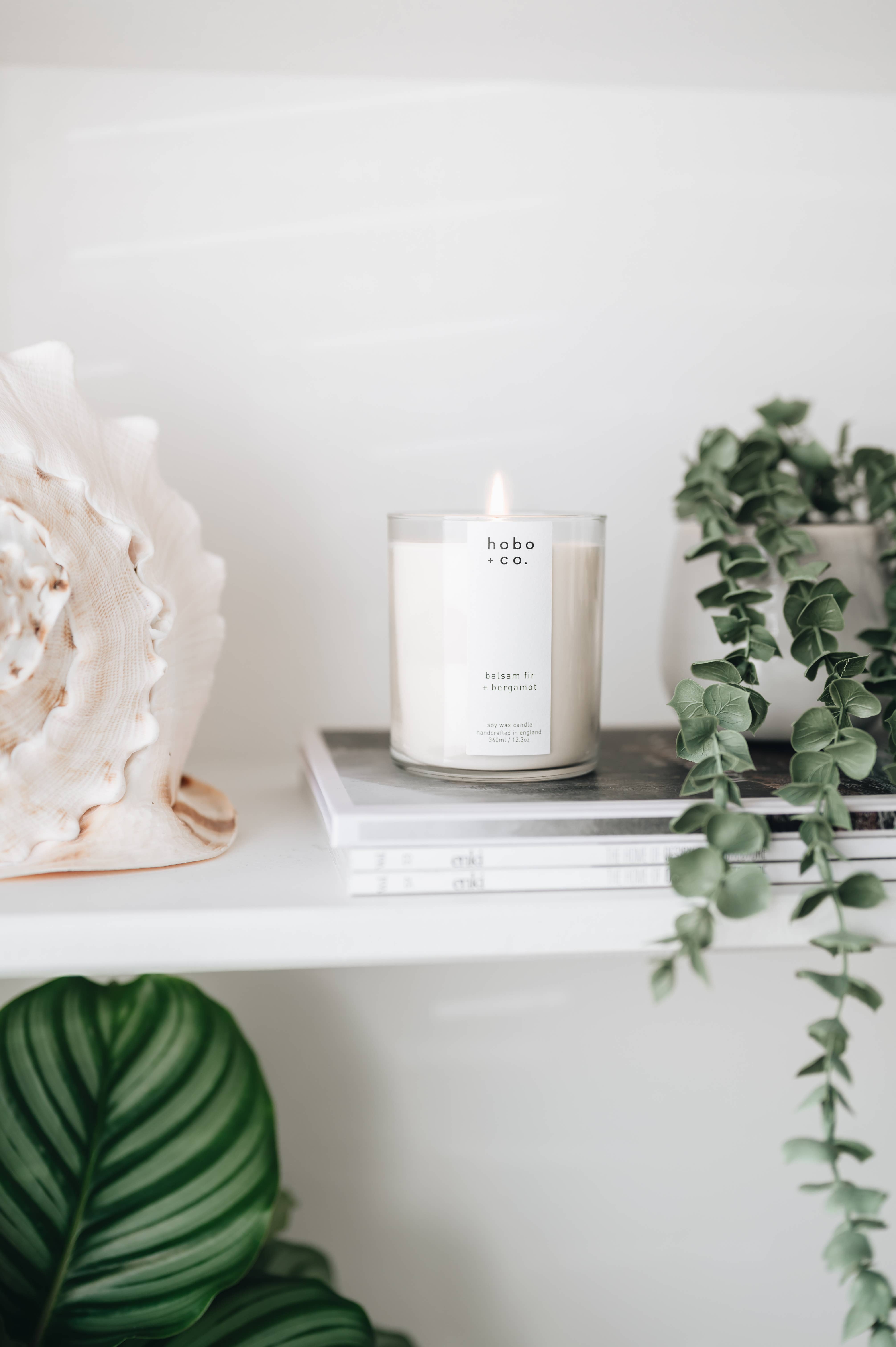 hobo + co. candles - Vendita all'ingrosso Candela in vasetto - Candela di soia grande abete balsamico + bergamotto1