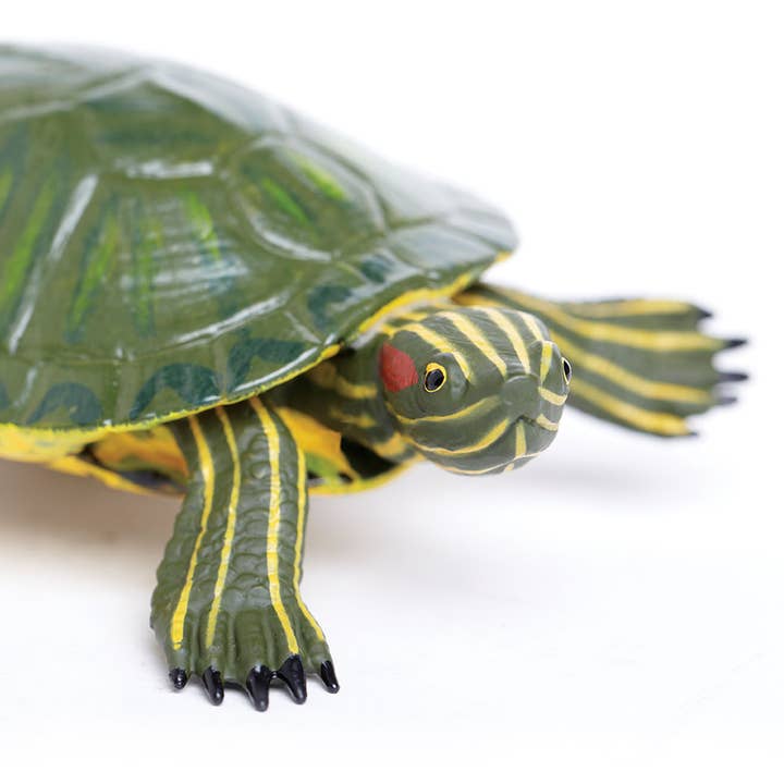 Safari Ltd. - Wholesale Figurine Toy - Kids - Red - Eared Slider Turtle - 2695291