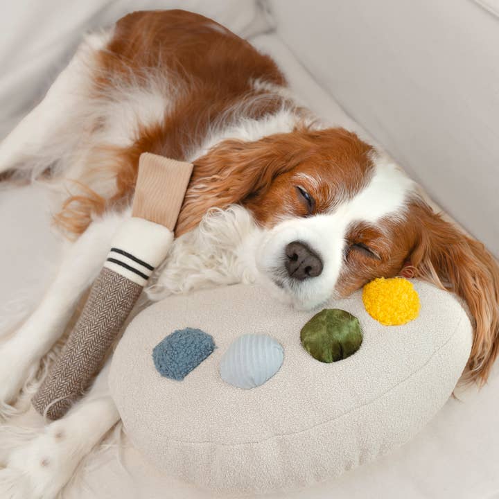 Lambwolf Collective – Engroshandel Legetøjssæt - Hund – Color Palette-sæt // ENRICHMENT legetøj til hunde8