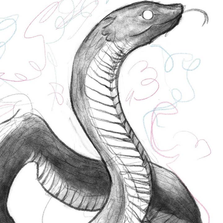 Cat Rocketship - Vente Affiche d'art - Spirit Snake Print - impression 5x7, impression 8x101