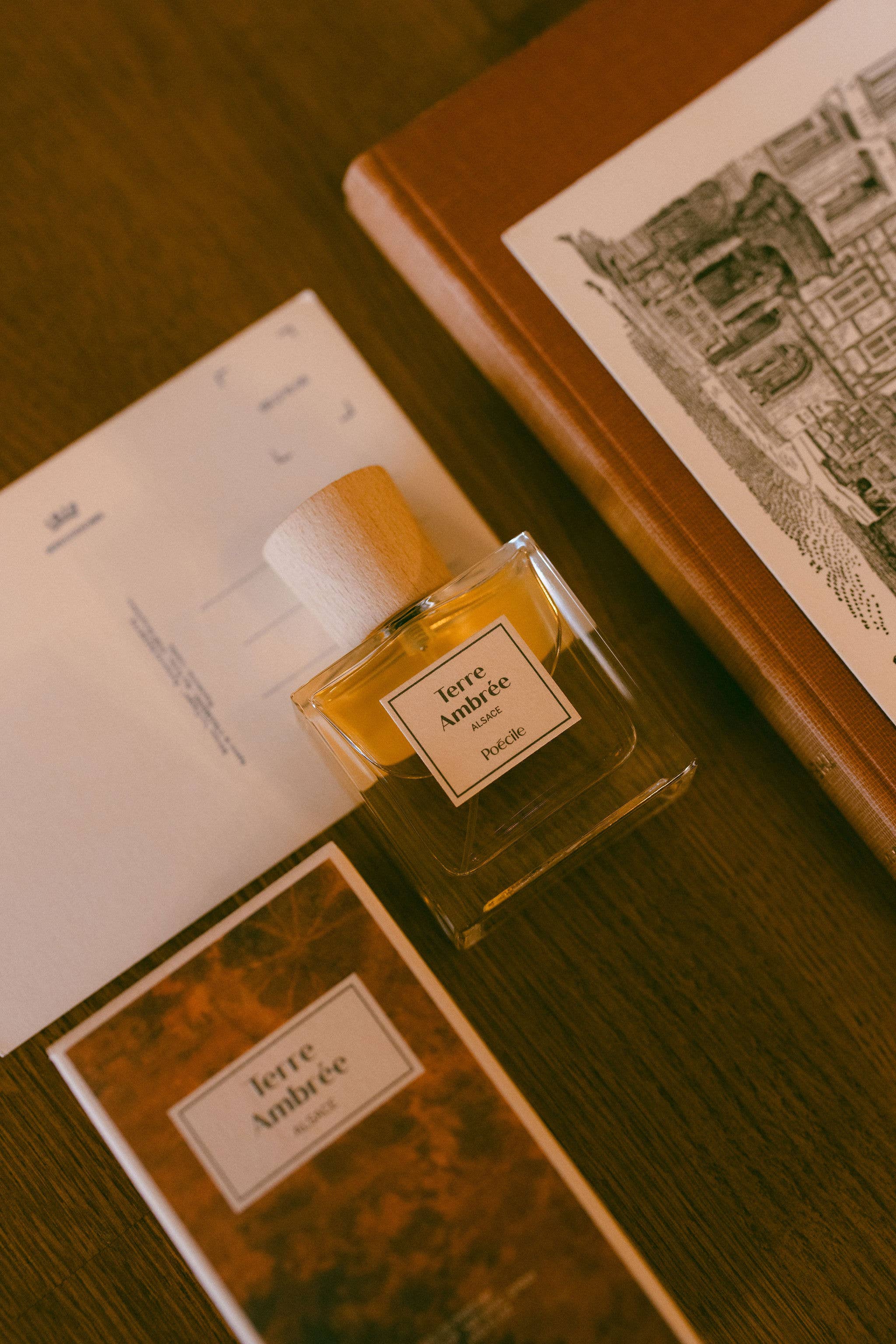 Poécile - Wholesale Parfum/Eau de toilette - Eau de parfum - Amber Aarde - Elzas4