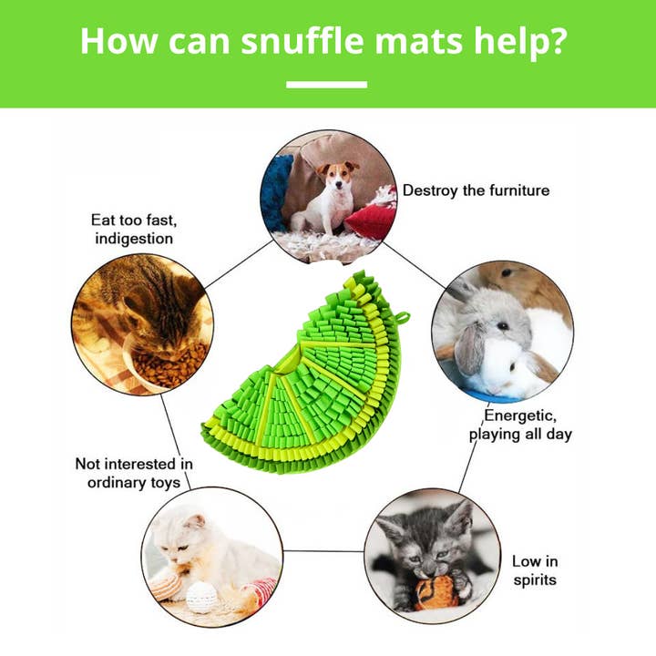 PawzNDogz - Wholesale Pet Food Mat - Dog - Zesty Lime™ Snuffle Mat | Challenge Level 22