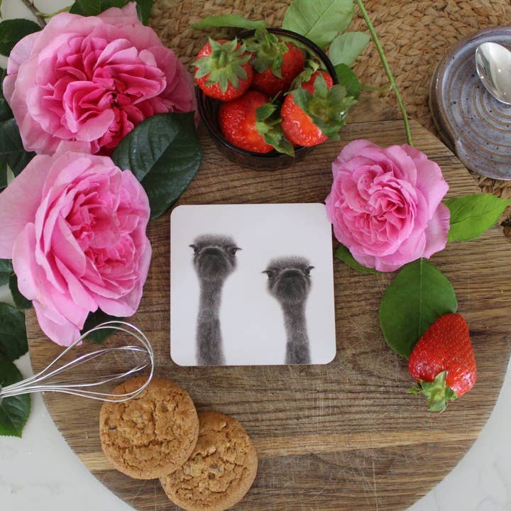 Ollie and Olive Ostrich Coaster for wholesale by Share A Little Frankie