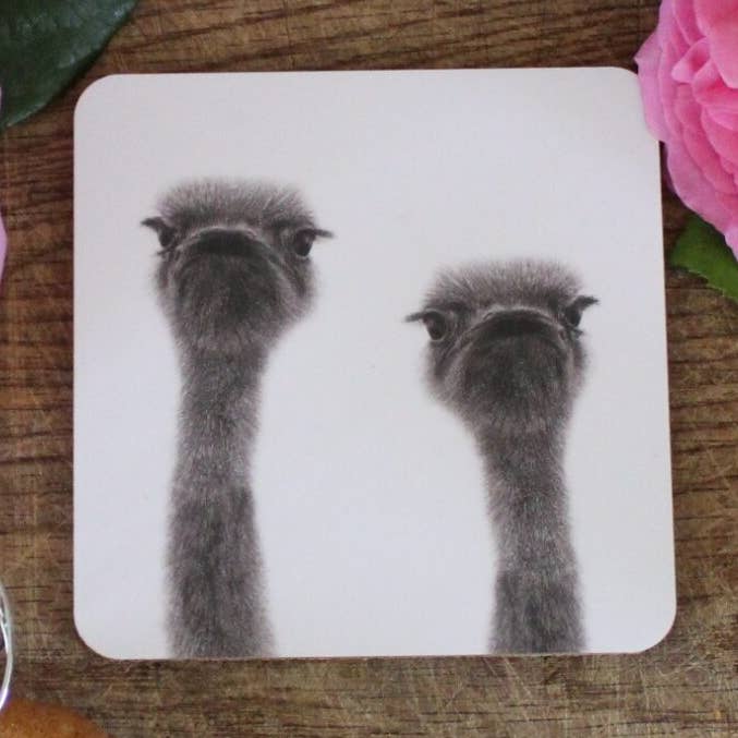 Ollie and Olive Ostrich Coaster for wholesale by Share A Little Frankie