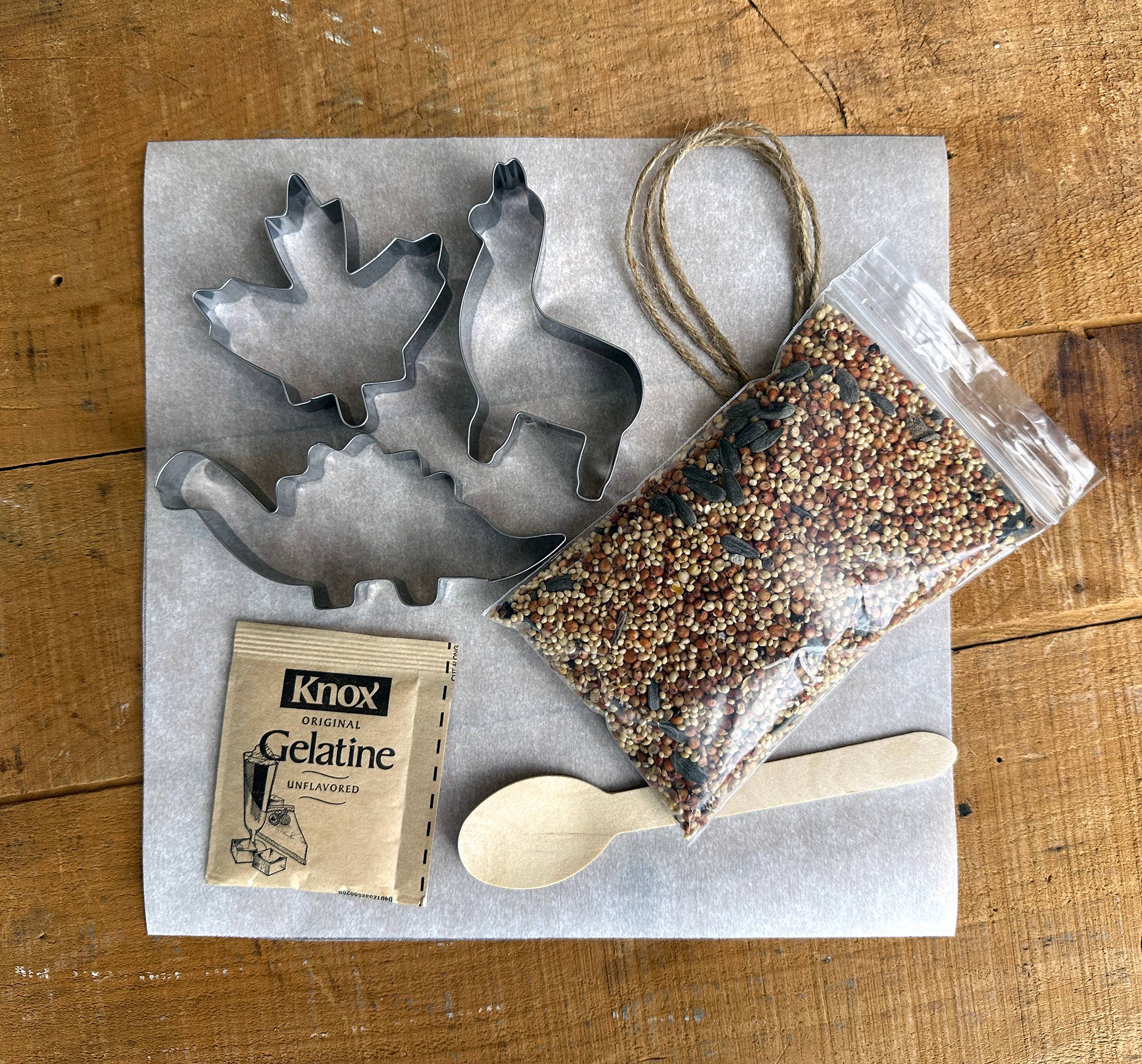 Mr. Sogs - Wholesale DIY Craft Kit - DIY Birdseed Garden Ornament Kit2