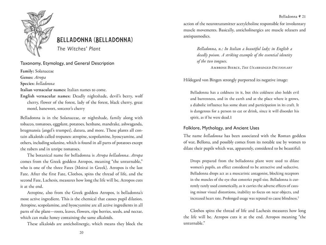 Simon & Schuster - Wholesale Medical Health - Della Medicina by Lisa Fazio7