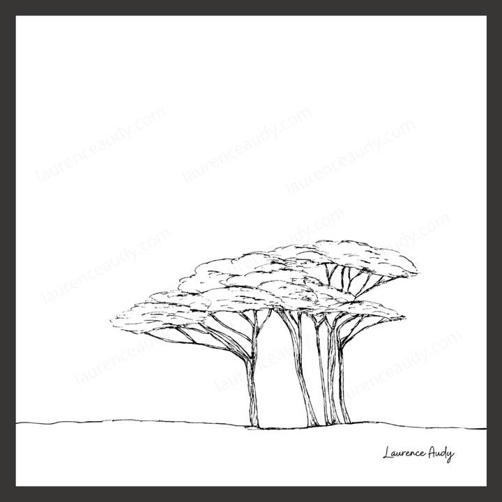 Minimalist Drawing Poster Tree 05 for wholesale by LAURENCE AUDY CROQUIS
