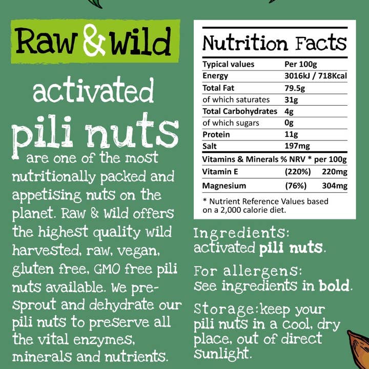 RAW & WILD - Wholesale Nuts - 22g Activated Original Pili Nuts