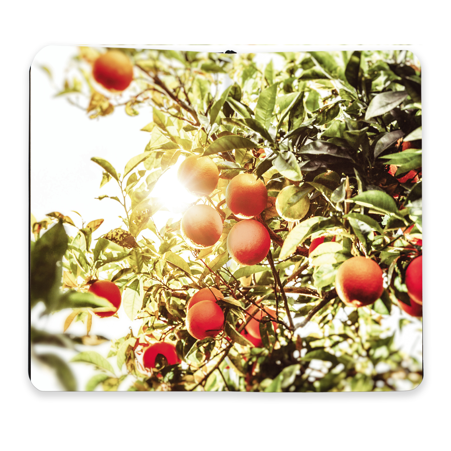 sime srl - Wholesale Journal/Diary - Reisetagebuch, Notizbuch, Journal, Sicily, Sicily,5