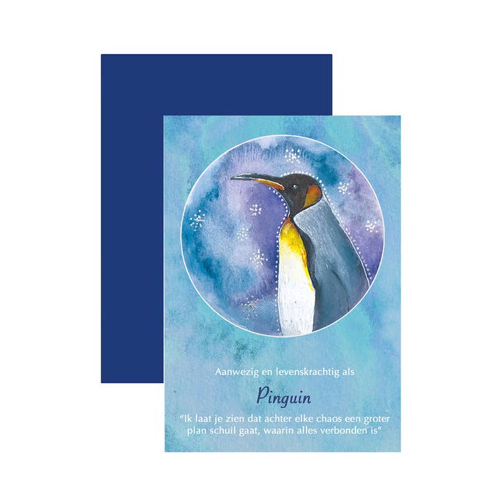 Cartolina doppia 'Pinguino' per la vendita all'ingrosso da parte di Reflection of a Soul