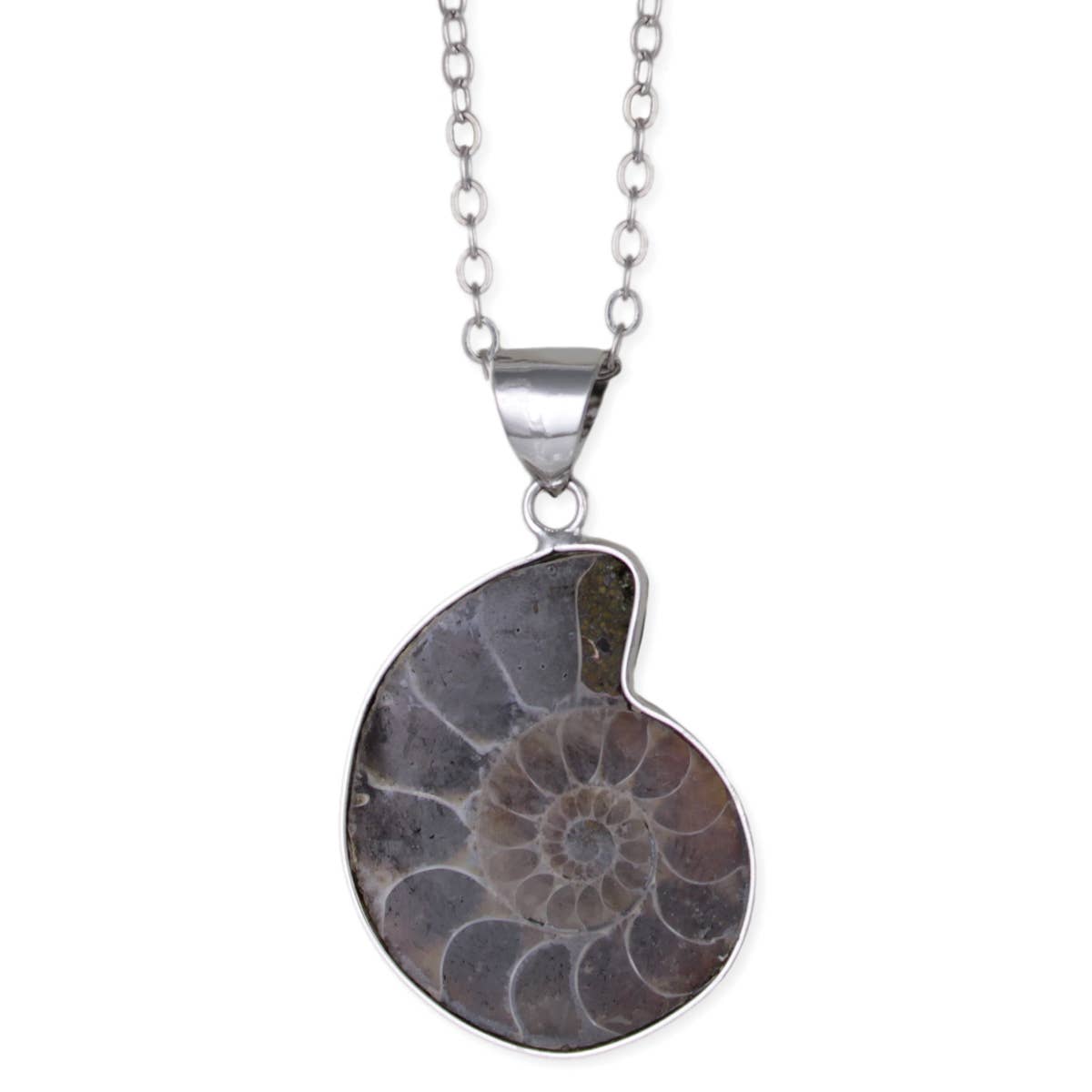 ZAD - Wholesale Pendant/Charm Necklace - Fossil Find Ammonite Silver Necklace1
