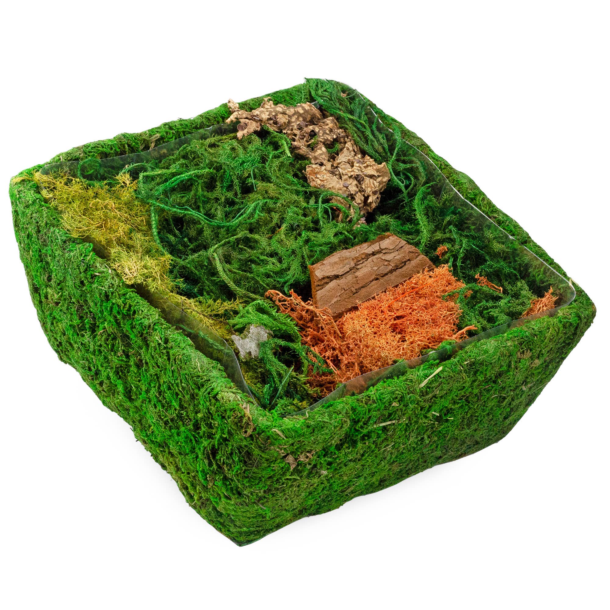 Kurated Korner - Wholesale Terrarium - Esterno DIY Dried Moss Enchanted Landscape Terrarium Starter0