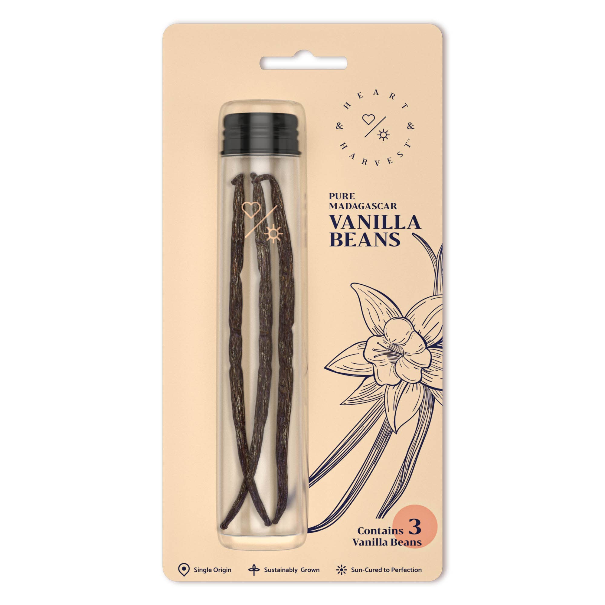 Heart & Harvest – Extrato de baunilha/fruta por atacado – Baunilha de Madagáscar Puro em tubo de vidro de origem ética0