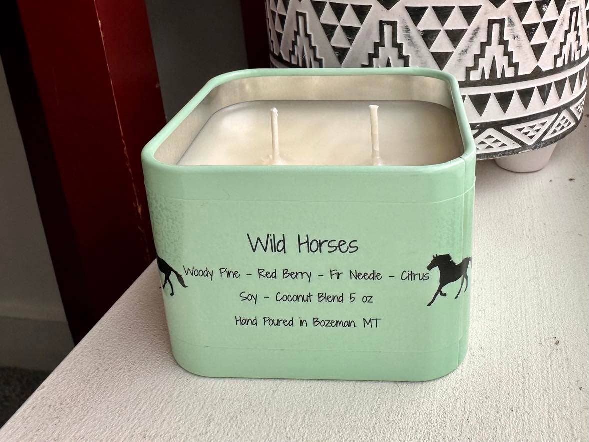 Cloudy Babe - Wholesale Travel Candles - Wild Horses Soy Candle1