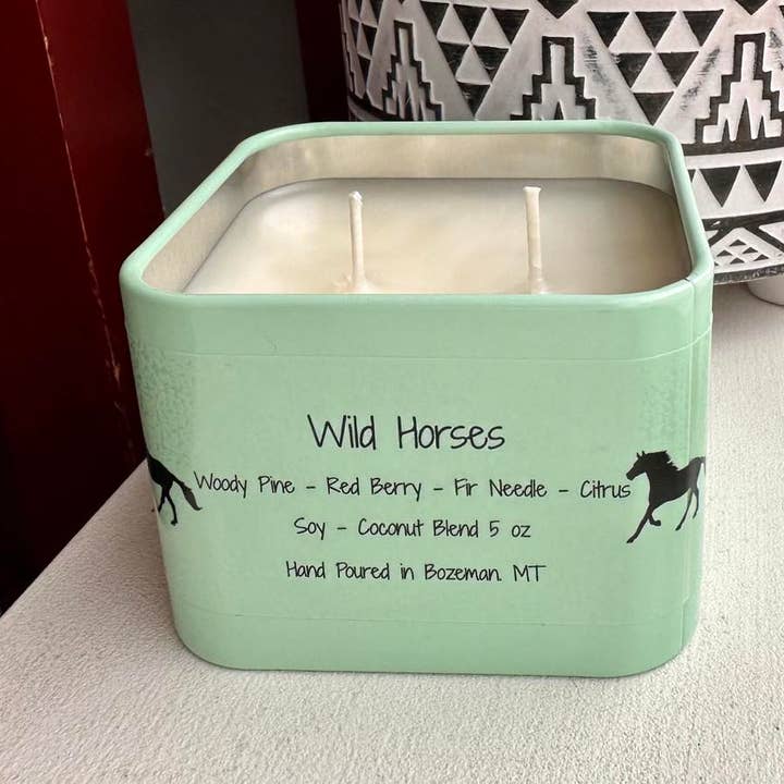 Cloudy Babe - Wholesale Travel Candles - Wild Horses Soy Candle1