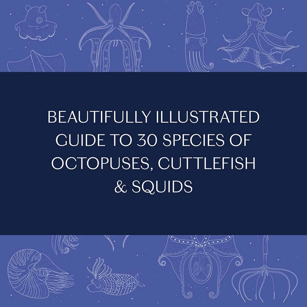Chronicle Books - Wholesale Nature & Outdoors - Sea Wonders11