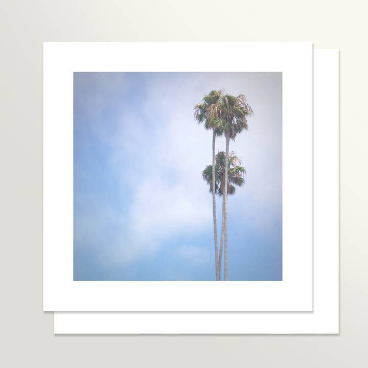 Palms for wholesale by Springamajig Press