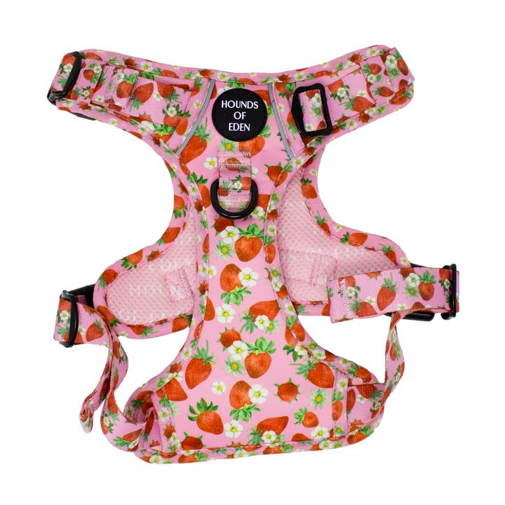 Strawberry Patch Dog Supaw Strong Lite™ Harness (XS-XL) for wholesale by Hounds of Eden