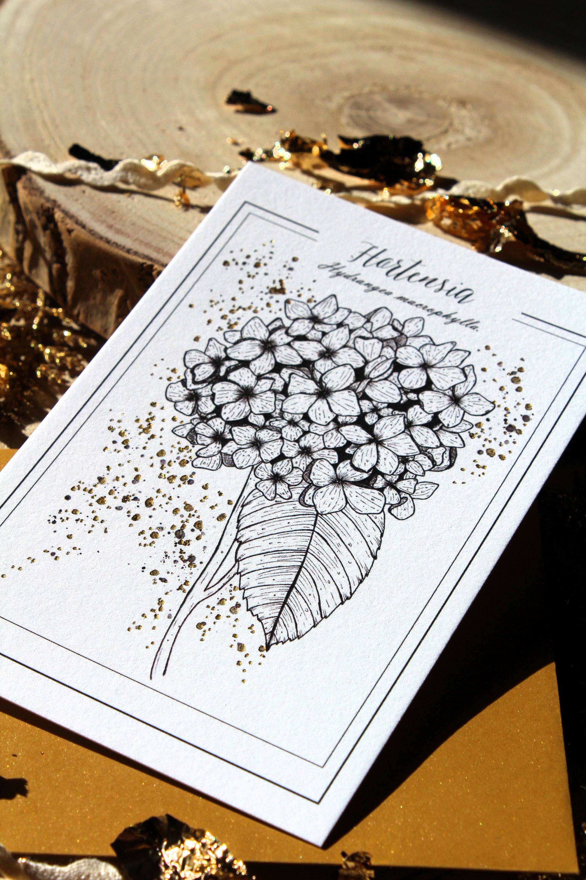 Au cœur des lunes - Vente Cartes postales - Reproduction botanique hortensia dorée et gravure3