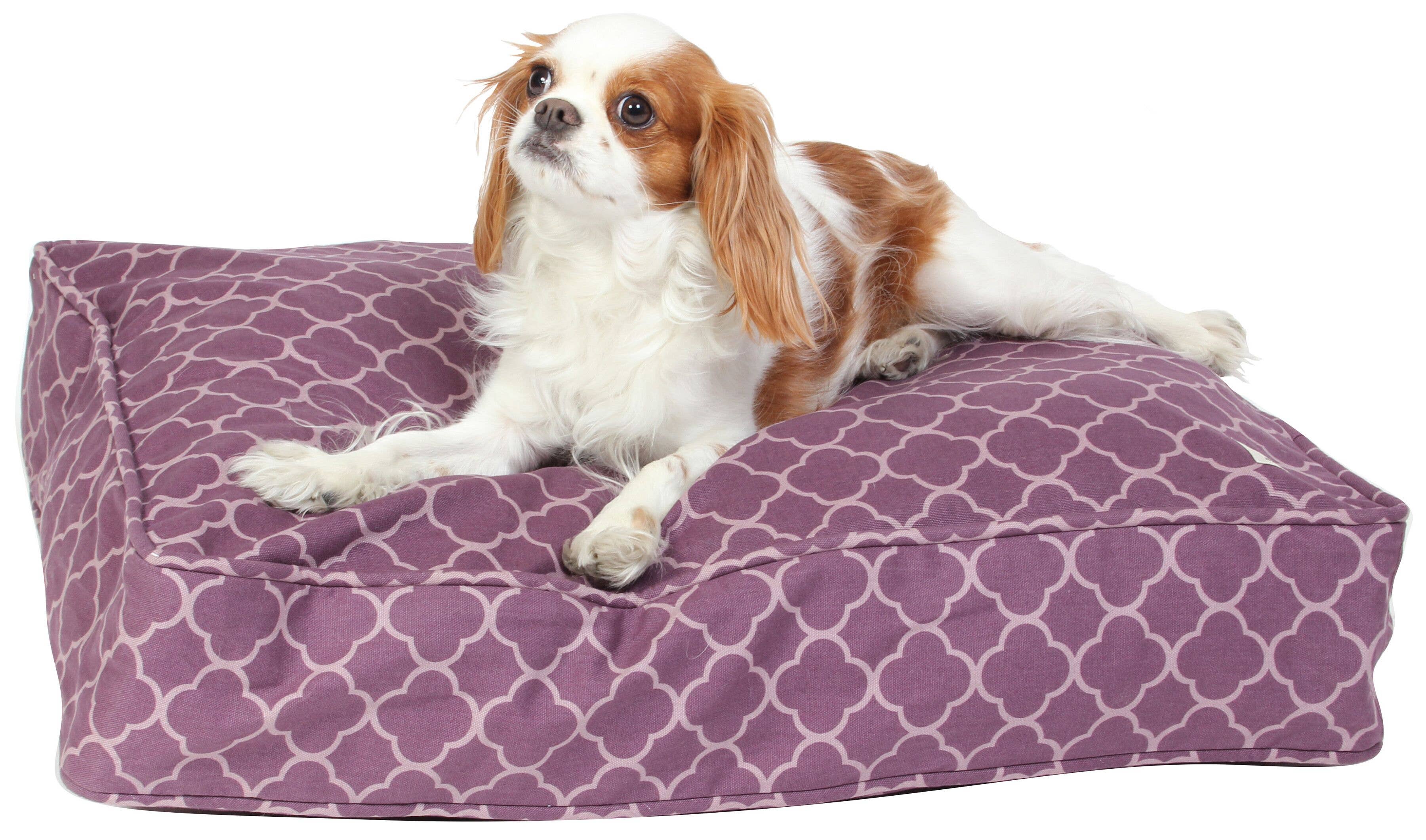 Molly Mutt - Venta al por mayor Cama - Perros - Edredón de perro de la realeza3