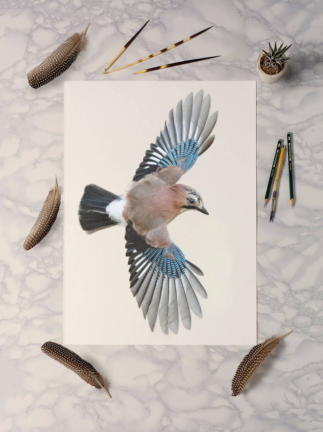 Hidden Planet - Wholesale Art Print - Eurasian Jay  | Eurasian Jay Print | Jay Print2